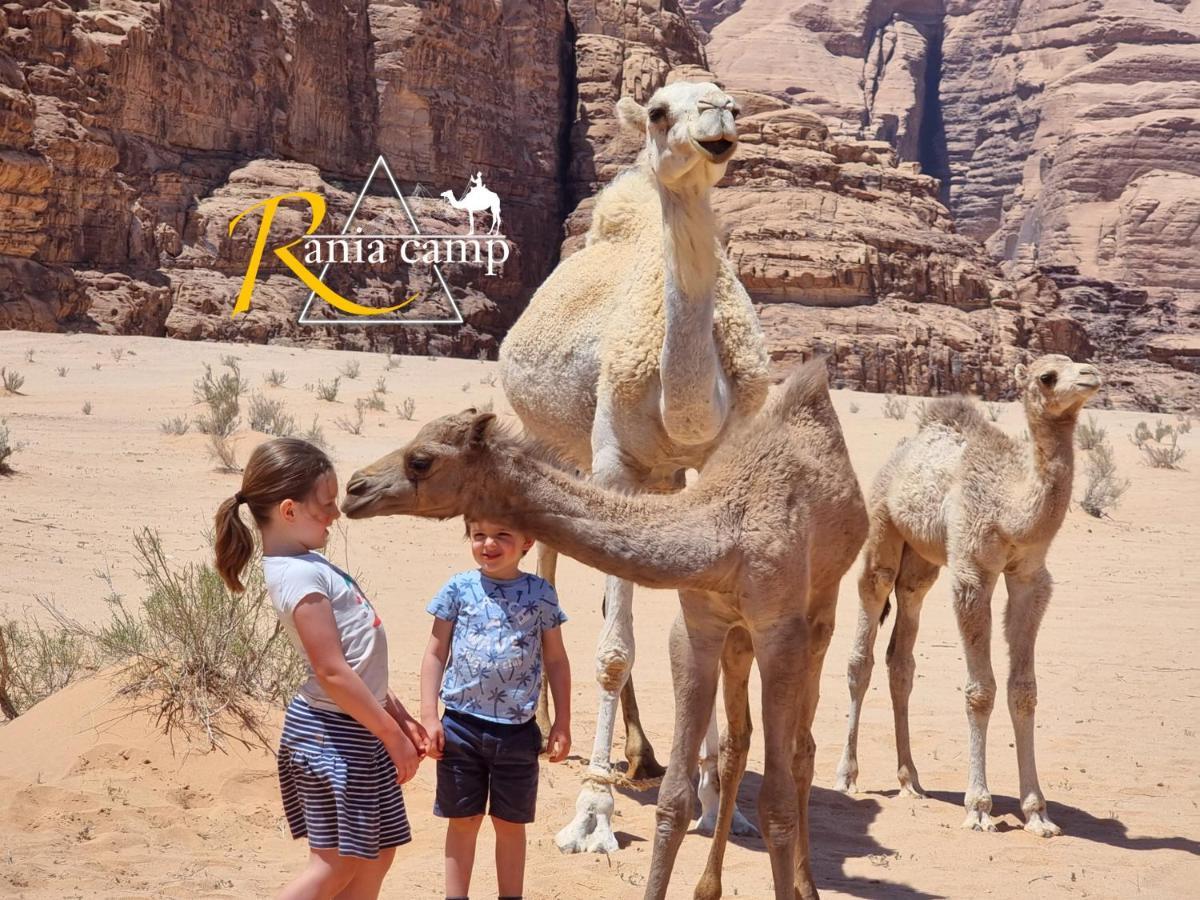 Hotel Wadi Rum,Rania Camp Exterior foto